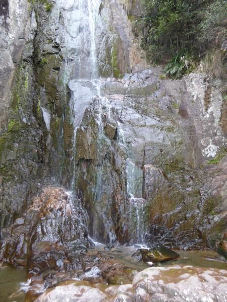 虫虫助手下载